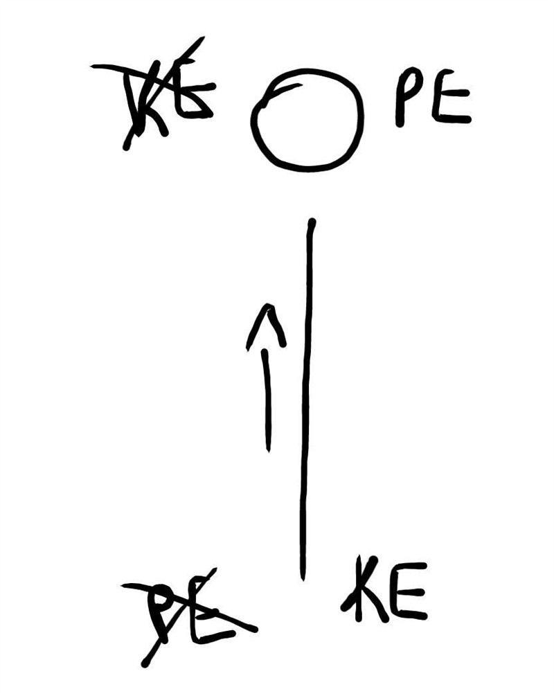 Suppose a 4.0-kg projectile is launched vertically with a speed of 8.0 m/s. What is-example-1