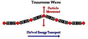 Explain the difference between transverse and longitudinal waves.-example-2