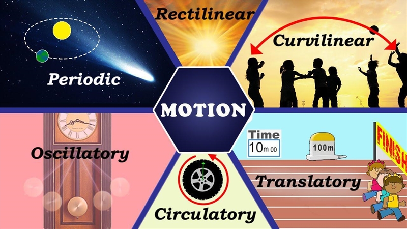 What is types of motion ​-example-1