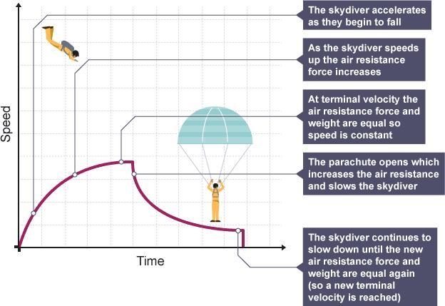 For an object falling at the terminal velocity, list all the forces (magnitude and-example-1