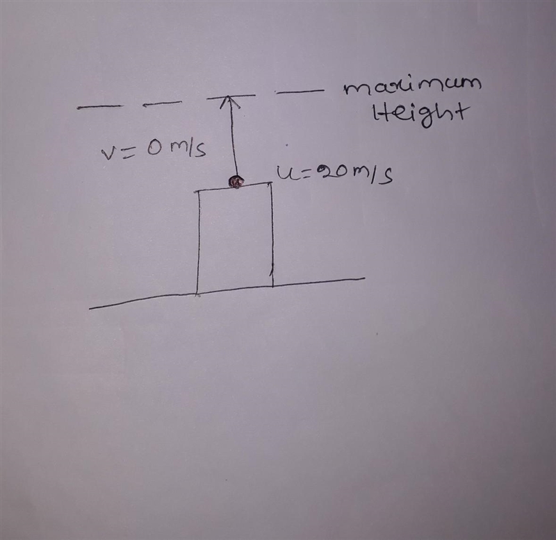 A Stone thrown from the top of a building is given an initial velocity Of 20.0 metre-example-1