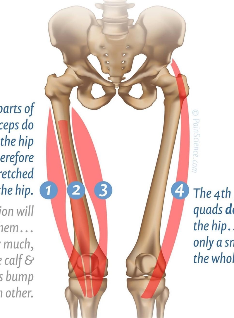 What is the only part in our body we do not stretch?-example-1