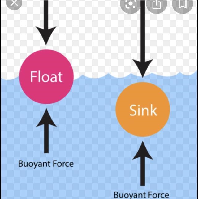 Explain what Buoyancy is in your own words.-example-1