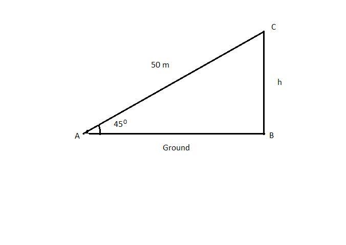 3) A bird flies toward a tree limb at a 45-degree angle to the ground along a path-example-1