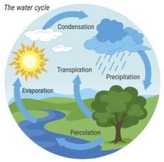 what \: is \: water \: cycle \: \: {?} ​-example-1