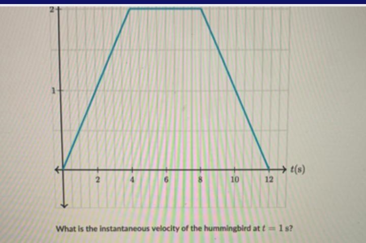 What is the instantaneous velocity of the hummingbird at t=1s?-example-1