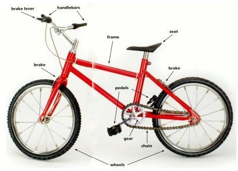 How is the bike in the picture a system and how is the Earth a system?-example-1