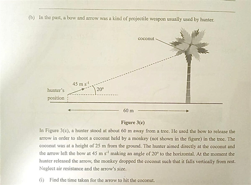 Find the height of the coconut from the ground at the moment the arrow hit it.-example-1