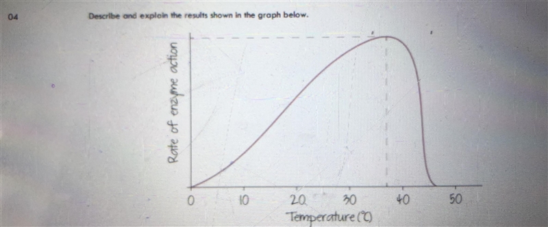 Can someone help my plzzz-example-1