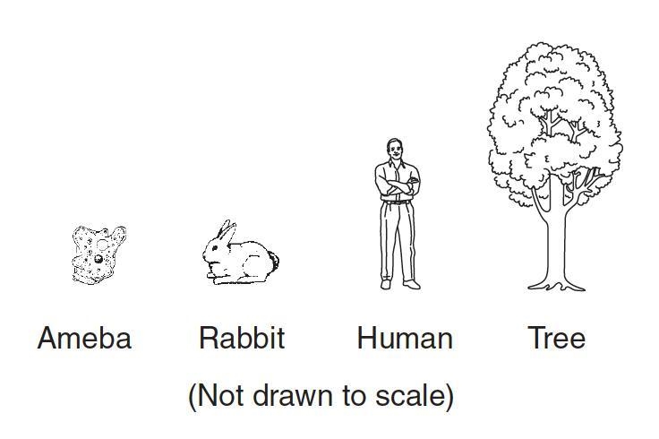 Four different living organisms are shown on the right. Which statement is true for-example-1