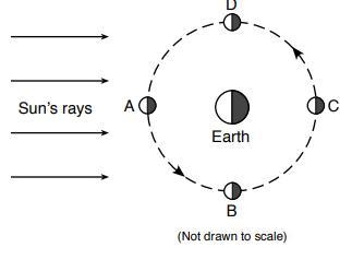 At which position would a person on Earth be able to view a solar eclipse? A B C D-example-1