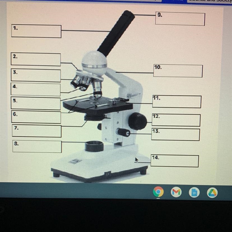 ASAP!!!!!!!! Parts of a Microscope: Use the following word bank to identify the following-example-1