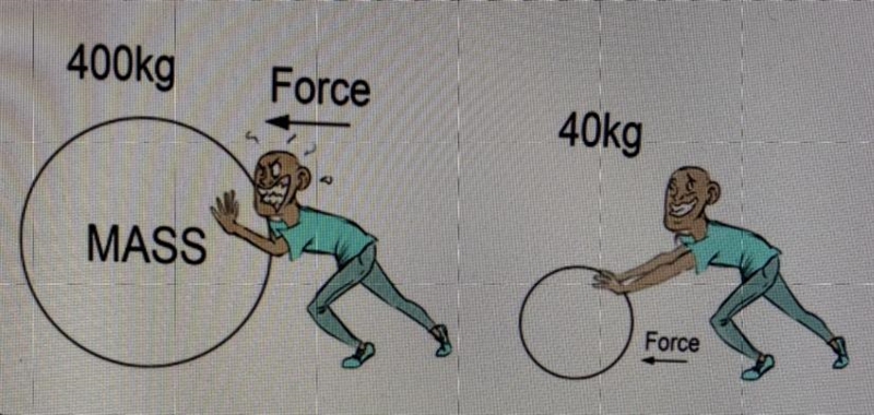 Which Newton’s law is gown below? First Second Third Pls answer-example-1