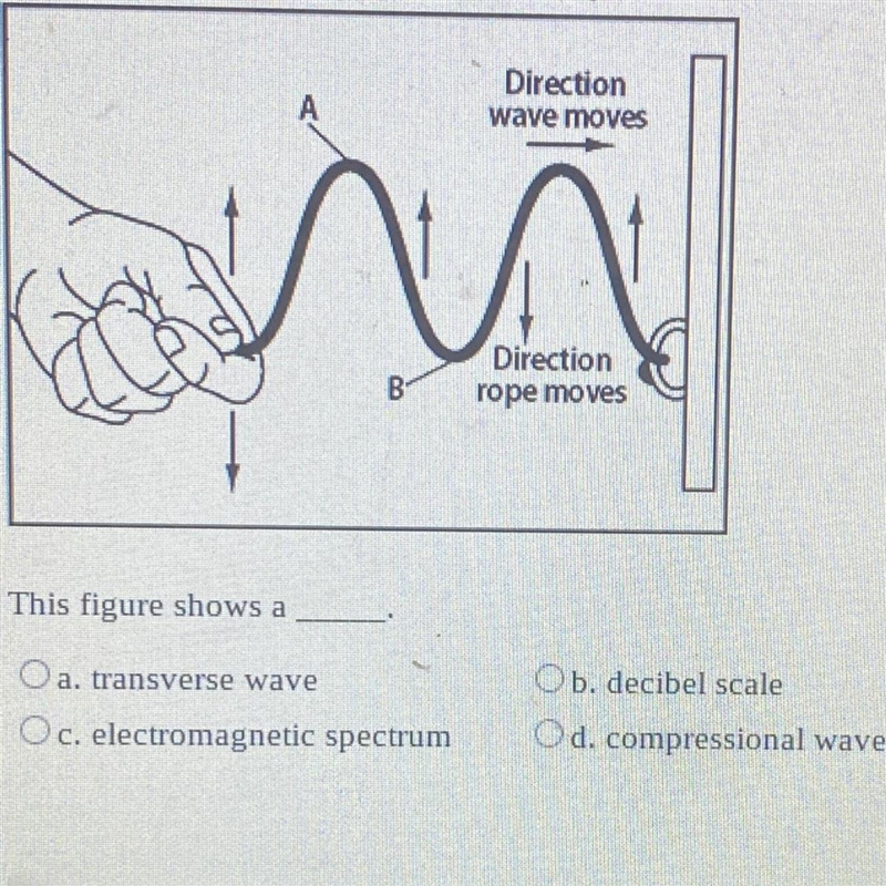 This figure shows a O a. transverse wave O c. electromagnetic spectrum Ob. decibel-example-1