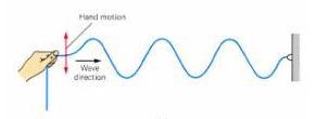 Which type of wave does the illustration depict? longitudinal wave transverse wave-example-1