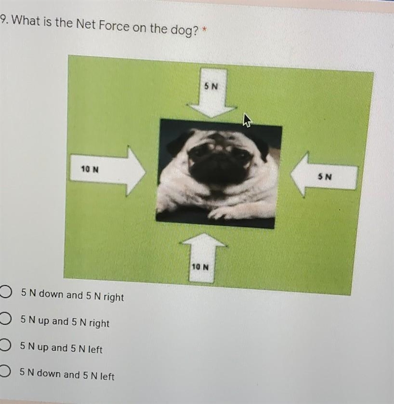 What is the netforce of the dog ​thanks!-example-1