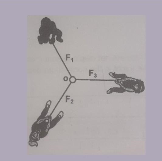 Which of the forces are the equilibrant force? explain ​-example-1