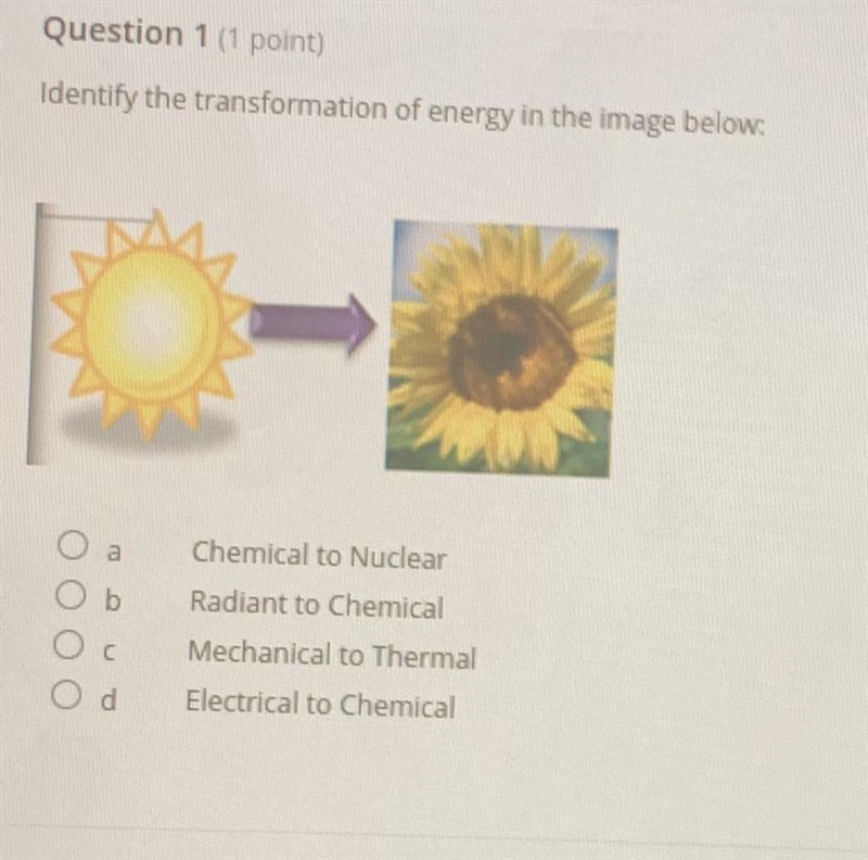 Questions 1 Question 1 (1 point) Identify the transformation of energy in the image-example-1