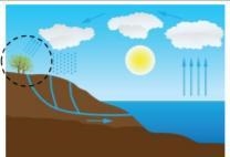 Which process is represented inside of the dashed circle? Evaporation Condensation-example-1