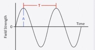 Identify the type of wave in the picture please asap-example-1