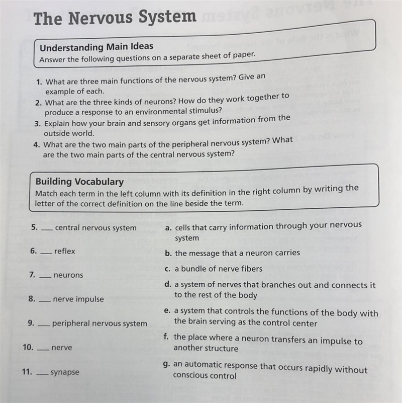 Review and Reinforce The Nervous System COCORI Understanding Main Ideas Answer the-example-1