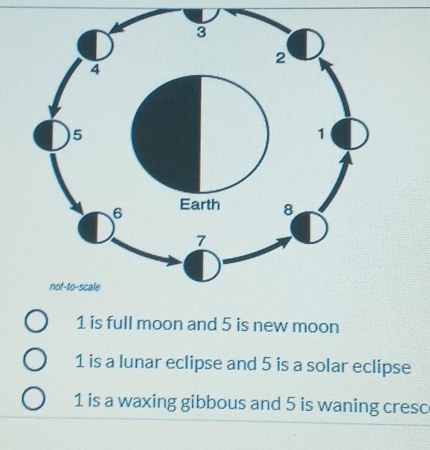 What moon phase would be at positions 1 and 5? A. 1 full moon and 5 is new moon. B-example-1