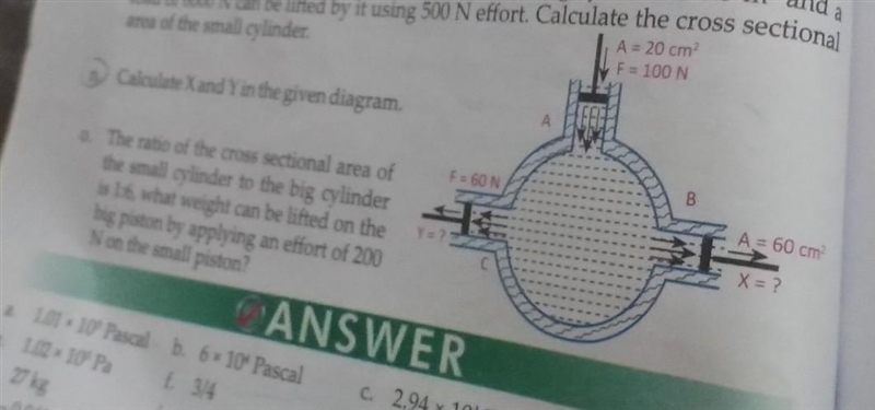 Anyone please help me I need help please guys PTS 1000 Calculate X and Y in the given-example-1