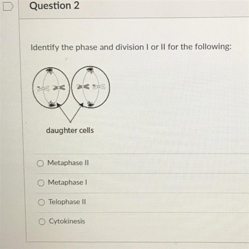 Identify the phase and division I or II for the following: Metaphase II Metaphase-example-1