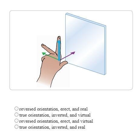 A student places his hand in front of a plane mirror as shown in the diagram. Which-example-1