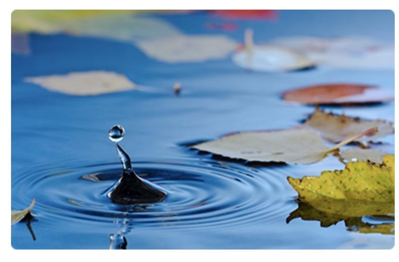 What is the medium for the waves in the photograph? A. Stones B. Air C. Leaves D. Water-example-1