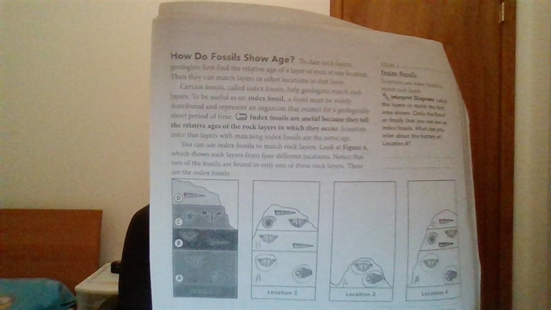 Figure 4: Index Fossils, Scientists use index fossils to match rock layers. Interpret-example-1