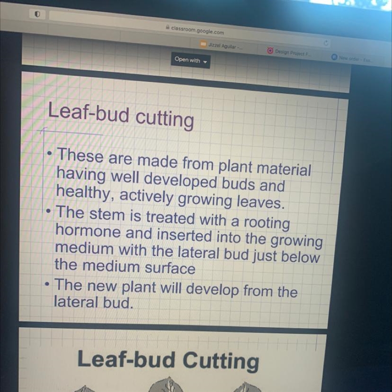 How are plants propagated using leaf and leaf-bud cuttings?-example-1