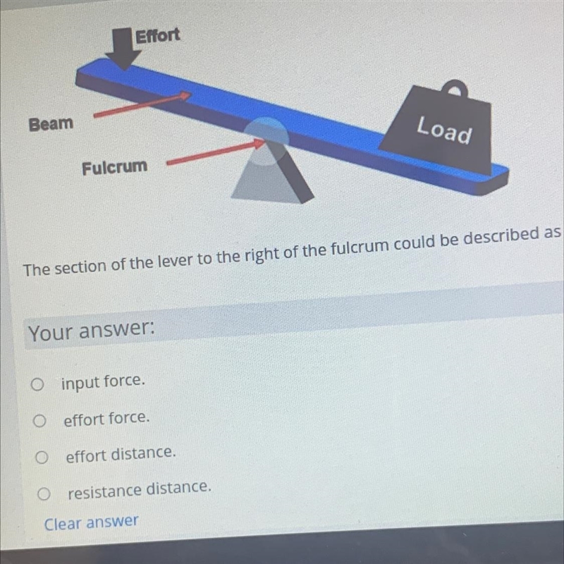 The section of the lever to the right of the fulcrum could be described as the?-example-1