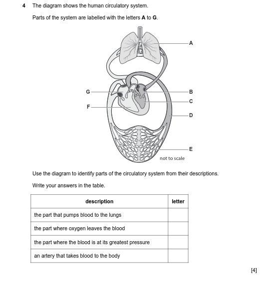 Plzzzzzz help :(((((((((((-example-1