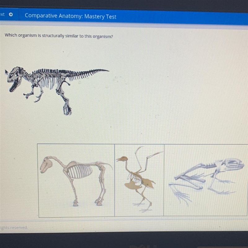 Next Comparative Anatomy: Mastery Test Subm Which organism is structurally similar-example-1