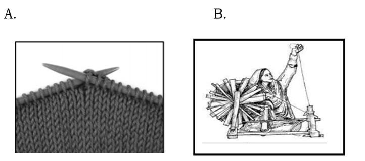 Identify the process shown in the given picture A and B and differentiate between-example-1