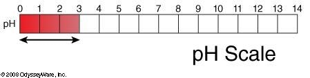 The interval shown here represents a _____. strong base weak base weak acid strong-example-1