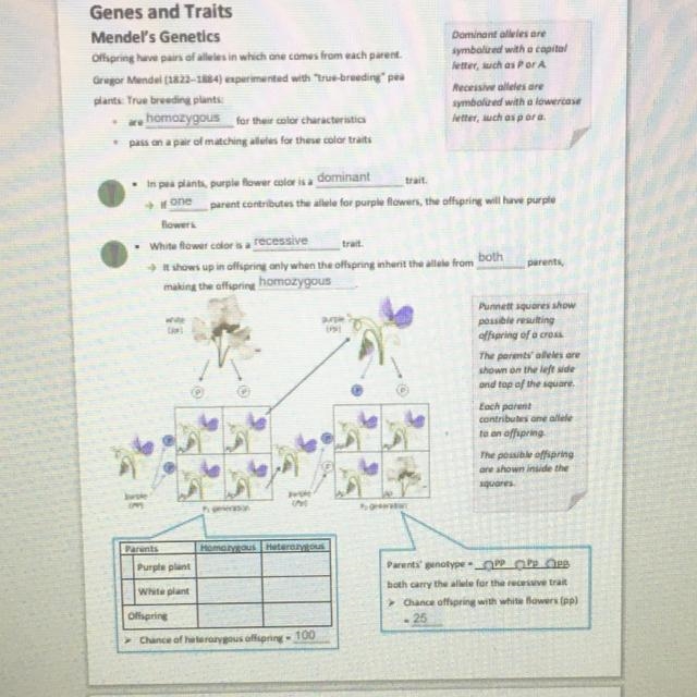 I don’t know what to put in the boxes below-example-1