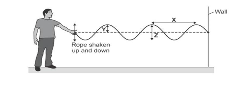 Pls help mee Apply scientific knowledge and understanding to solve problems The diagram-example-1