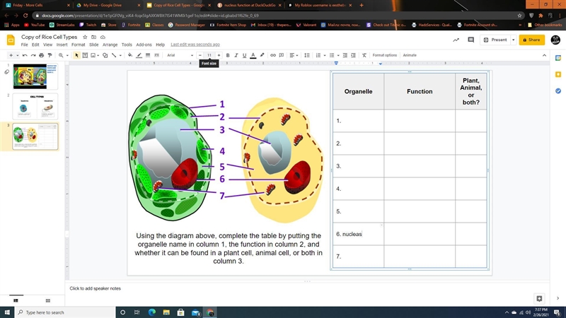 I NEED HELP PLEASE HELP ME!!!-example-1