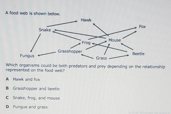 A food web is shown below. Hawk Fox Snake Mouse Frog Grasshopper Beetle Fungus Grass-example-1