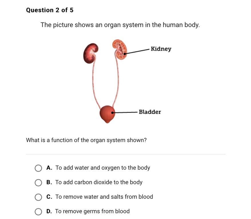 What is a function of the organ system shown?-example-1