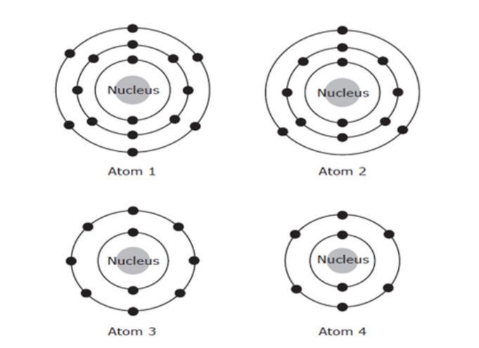 A student is studying the ways that different elements are similar to one another-example-1