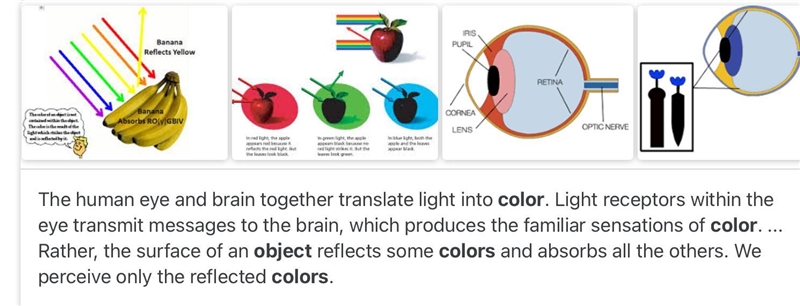 How do we see colored objects?-example-1