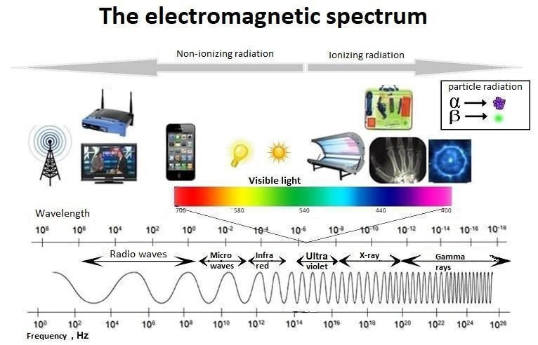 What is the electromagnetic spectrum? How does light affect the colors we see? PLS-example-1