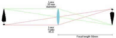 Is your friend's diagram correct? Support your answer using your knowledge of how-example-1