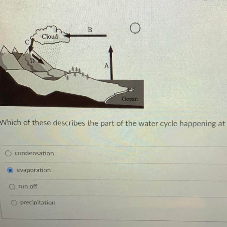 Which of these describes the part of the water cycle happening at D-example-1