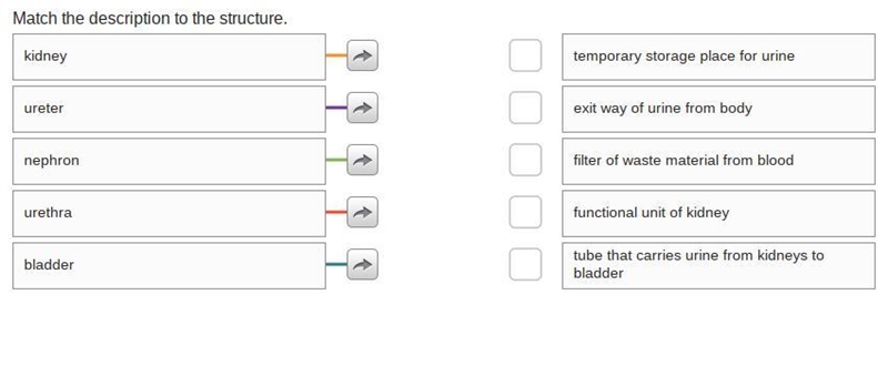 7th grade science!! Help ASAP!!-example-1