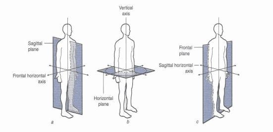 label the three planes and axis of movement on the figures. define each plane and-example-1