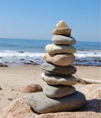 While at the beach, Lee collected this pile of rocks. How could Lee find out whether-example-1